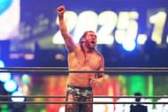 New Japan Pro-Wrestling - Wrestle Dynasty